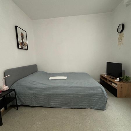 Appartement Au Coeur Страсбург Екстериор снимка